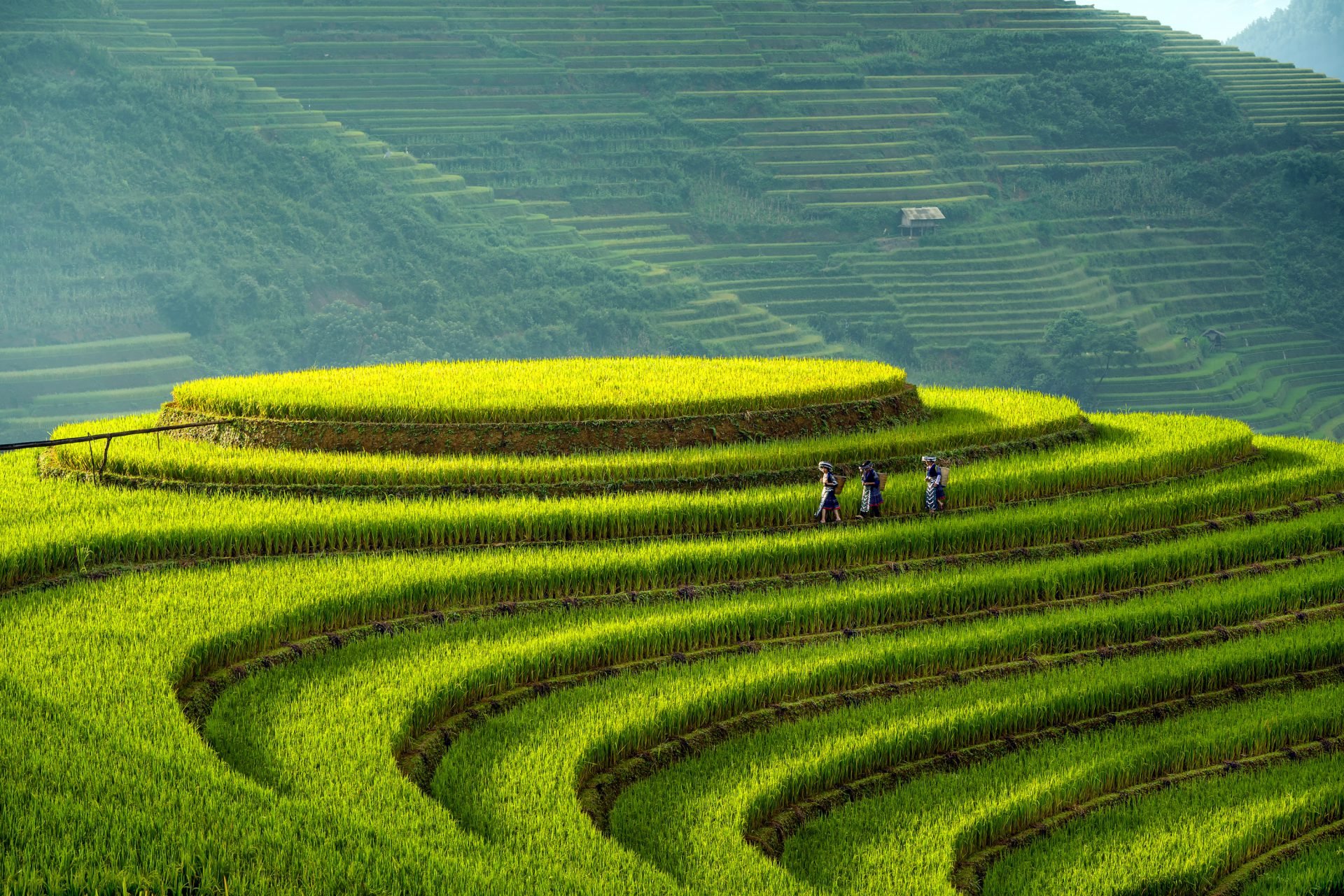 Hà Nội - Mù Cang Chải - Ngọc Chiến